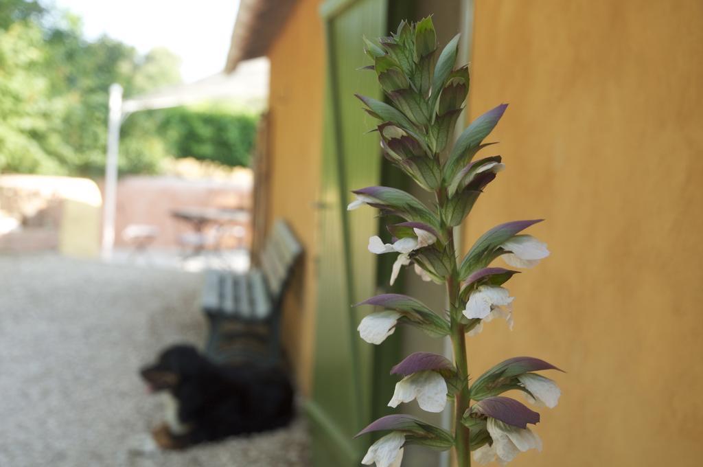 Vila Le Petit Bacalan Mormoiron Pokoj fotografie